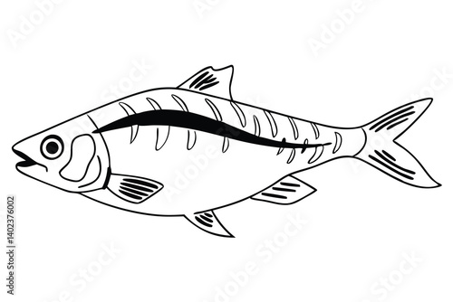 American Gizzard Shad fish vector, Fish silhouette