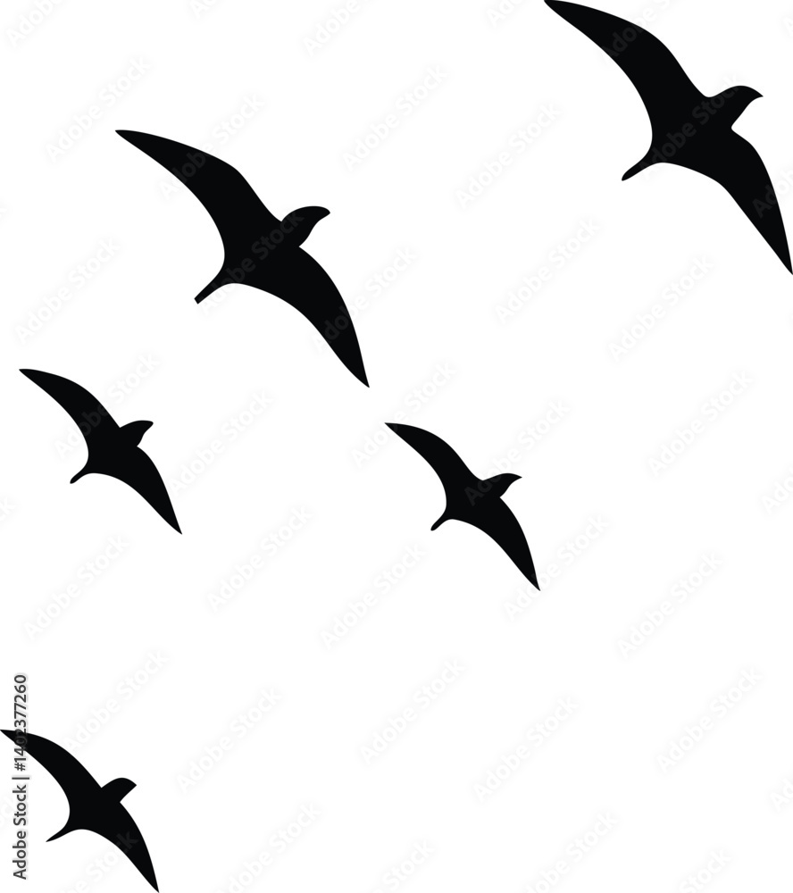 Fototapeta Black Silhouettes of Birds Flying in Formation with Visual Harmony