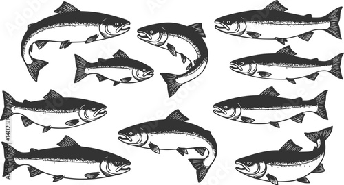 Set of salmon silhouette in line art style. Fish vector by hand drawing. Fish tattoo on white background. Black and white fish vector on white background. Salmon fish sketch for coloring book