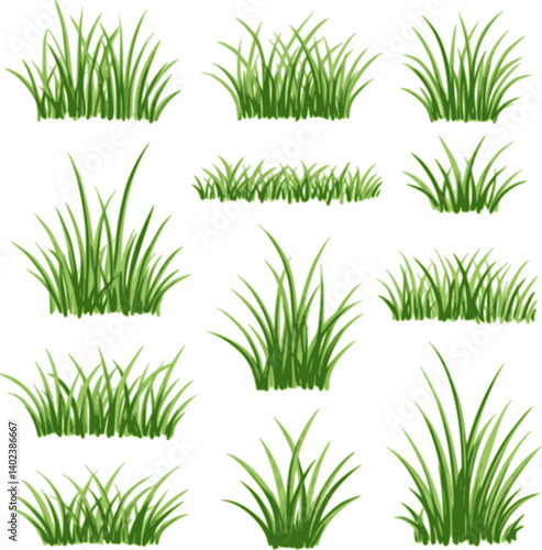 Set of grass vector on white background. Grass vector by hand drawing.
