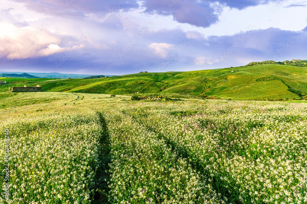 rustic road in spring meadow landscape with green grass, flowers, amazing hills and beautiful path leading to a village. Agricultural landscapw of europe. rustic road in spring meadow landscape with green grass, flowers, amazing hills and beautiful path leading to a village. Agricultural landscapw of europe.