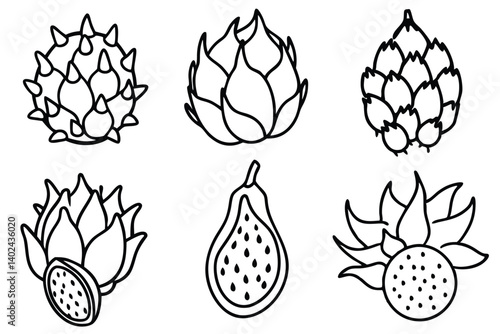 dragonfruit line art modern abstract tropical fruit illustration