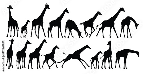 Big set silhouettes of wild giraffes.
