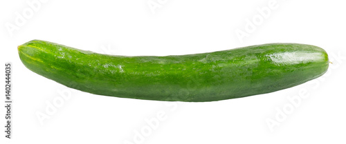 Fresh long  Japanese cucumber isolated