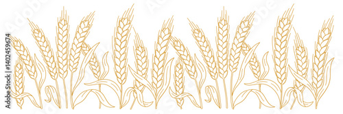 Hand-Drawn Hatched Wheat and Rye Stalks Vector Illustration for Flour Packaging