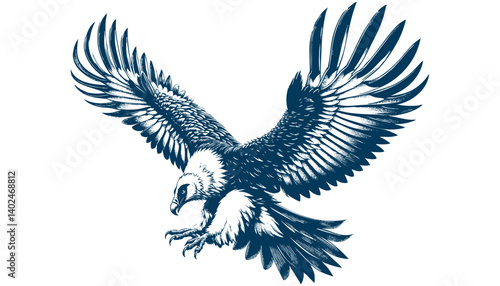 bearded vulture vector