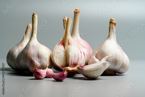 Fototapeta Naklejka Na Ścianę i Meble -  Fresh Garlic Bulb with Peeling Skins. purple garlic.  Suitable for cooking, health, food introduction, nutrition topics.