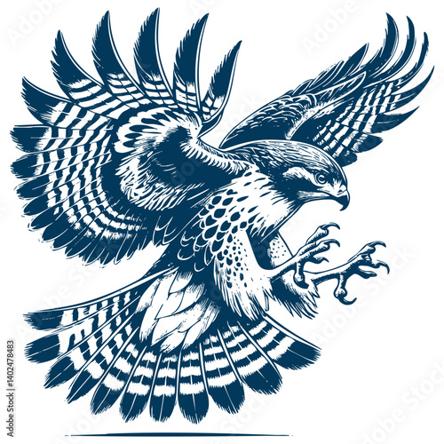 Tableau sur toile Buteo buteo  Common buzzard vector