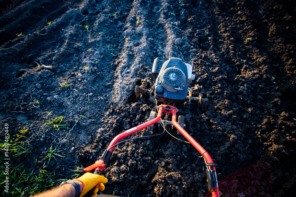 organic farming man ploughs the ground at sunset with a tiller preparing the soil for sowing