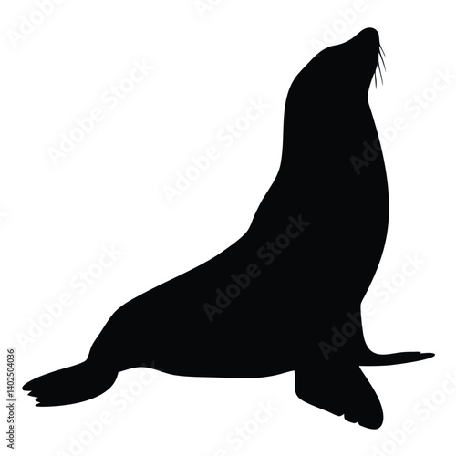 Sea Lion Silhouette – Marine Animal Vector Art