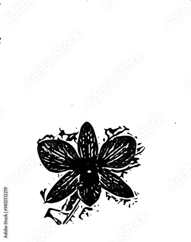 Orchid vector: elegant designs for various needs 