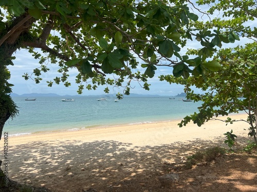 Scenic tropical beach with boats in the shade of trees, Thailand