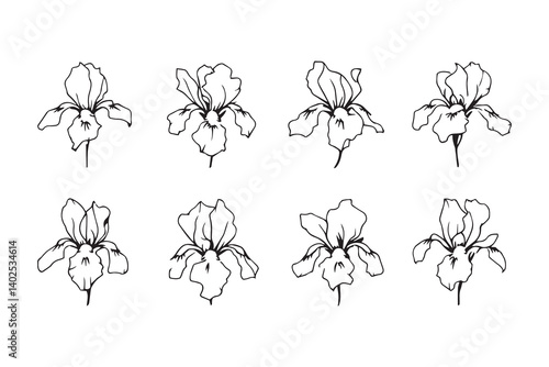 Iris black line art