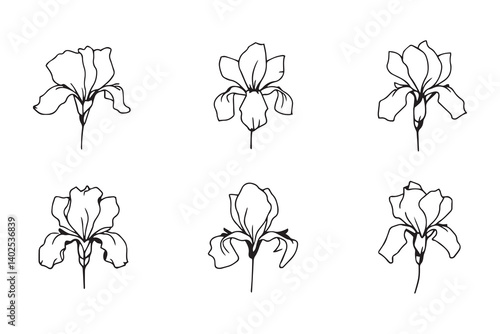 Iris black line art