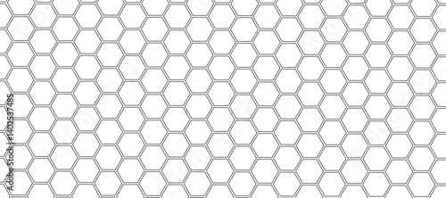 Abstract background with white color hexagons and seamless pattern vector design . luxury white pattern geometric mesh cell texture .honeycomb 3d background texture design .