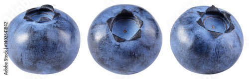 Blueberry isolated png. Blueberry on white or transparent background. Perfect retouched blueberry no background. Png blueberries collection. Full depth of field.