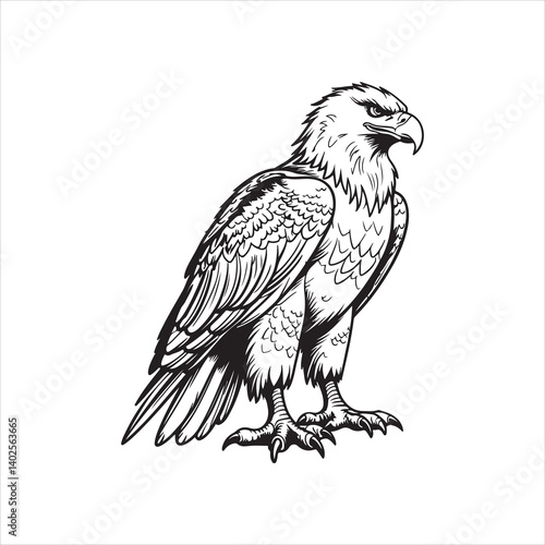 Eagle Line Art Drawing for Coloring Book,
Majestic Eagle Outline Vector Illustration,
Bald Eagle Cartoon Line Art Design,
Wild Eagle Black and White Sketch,
Hand Drawn Eagle Outline for Pri