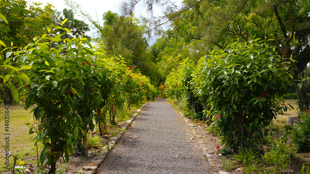 footpath in the park footpath in the park