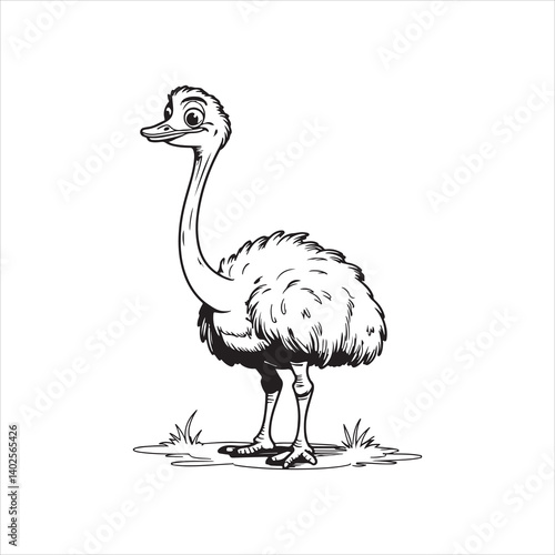 	Ostrich Line Art Drawing for Coloring Book,
Cute Ostrich Outline Vector Illustration,
Cartoon Ostrich Standing Line Drawing,
