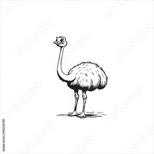 Ostrich Line Art Drawing for Coloring Book,
Cute Ostrich Outline Vector Illustration,
Cartoon Ostrich Standing Line Drawing,
Hand Drawn Ostrich Black and White Sketch,
