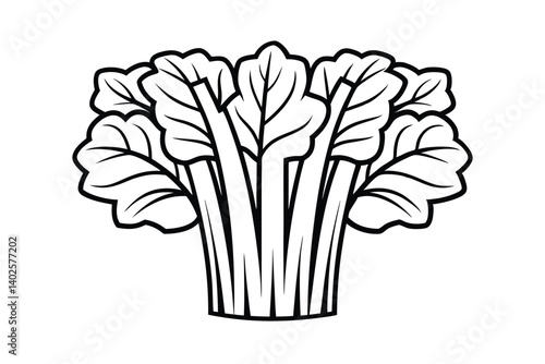 Vector Illustration Of Bok Choy Outline Graphic Element Depicting Fresh Vegetables Ideal For Culinary Design And Education