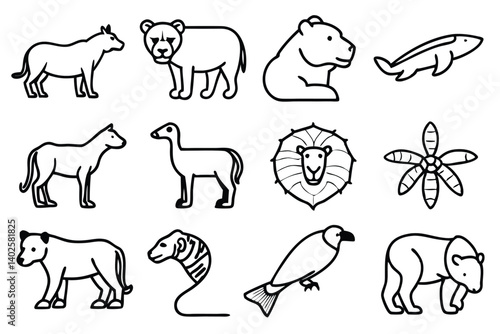 endangered species line art saving the planet's rarest creatures