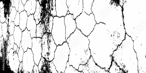 Vector Illustration of Cracked Ground Texture with Transparent Background – A Distressed Grunge Effect Featuring Natural Earth Line Patterns
