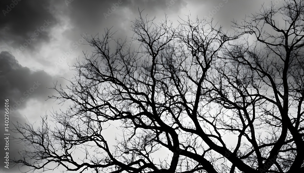 Bare Branches Against a Stormy Sky Bare Branches Against a Stormy Sky