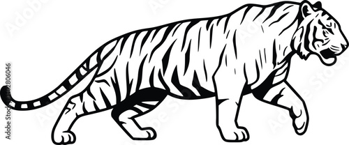 Black and white illustration of a walking tiger with bold stripes, capturing strength and grace