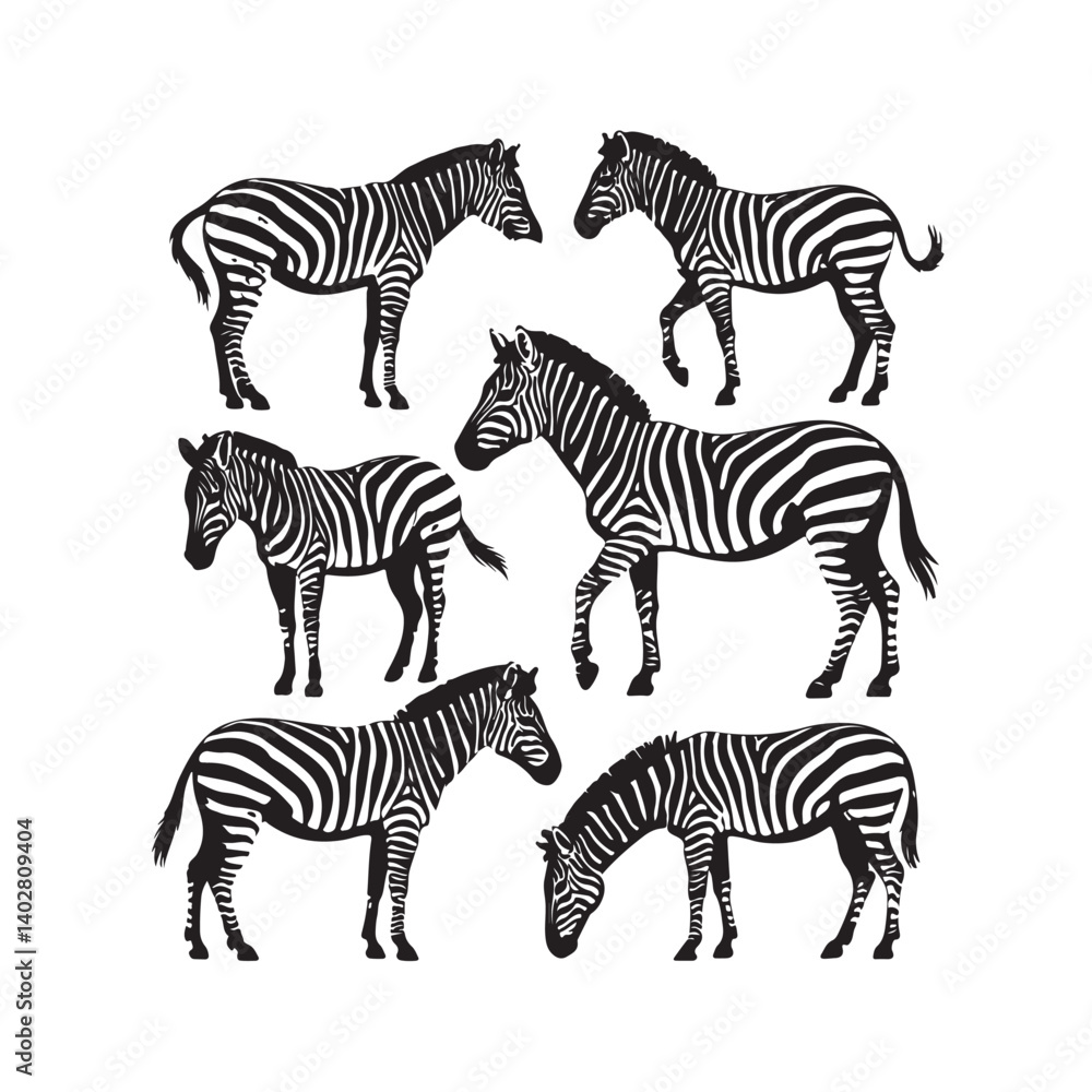 Fototapeta premium vector illustration of twelve zebra silhouettes in various poses, detailed striped wild animal artwork for nature, safari, and wildlife themed designs