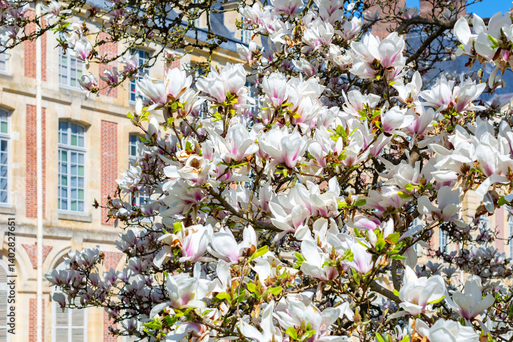 Spring in Fontainebleau park (Chateau de Fontainebleau garden) near Paris, France