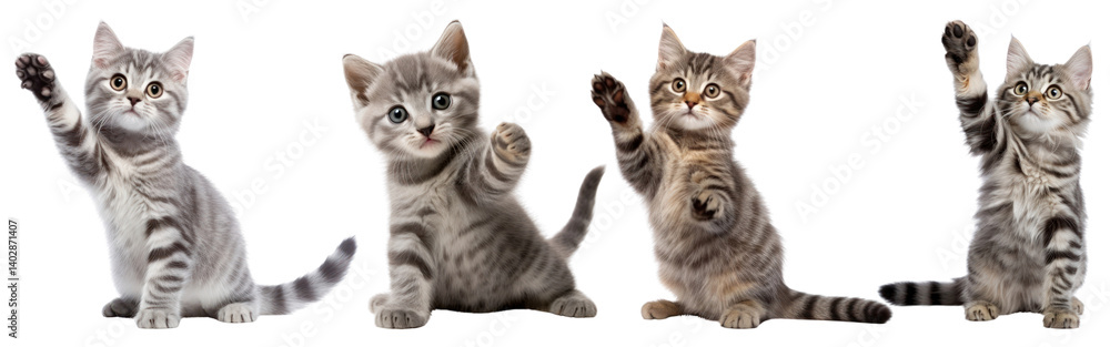 PNG Playful kittens raising paws, element set on transparent background PNG Playful kittens raising paws, element set on transparent background