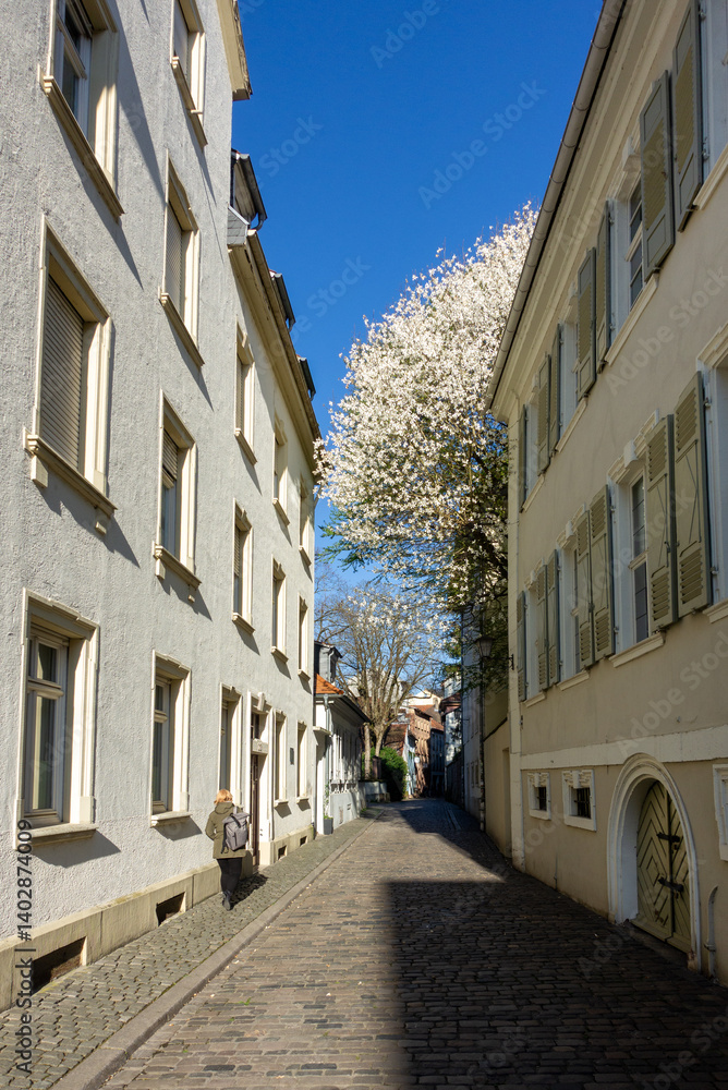 Fototapeta premium Heidelberg, Heiliggeiststrasse 