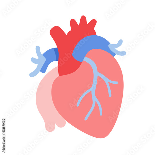 Heart and Aorta Illustration Icon Representing Cardiovascular Health and Circulation
