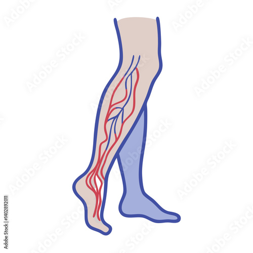 Leg Illustration Icon Representing Circulatory Issues and Vascular Health