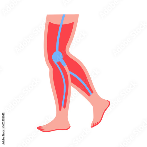 Leg Illustration Icon Representing Circulatory Issues and Vascular Health