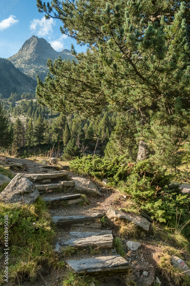 Aigualluts planes in the Benasque valley in Pyrenees, Spain