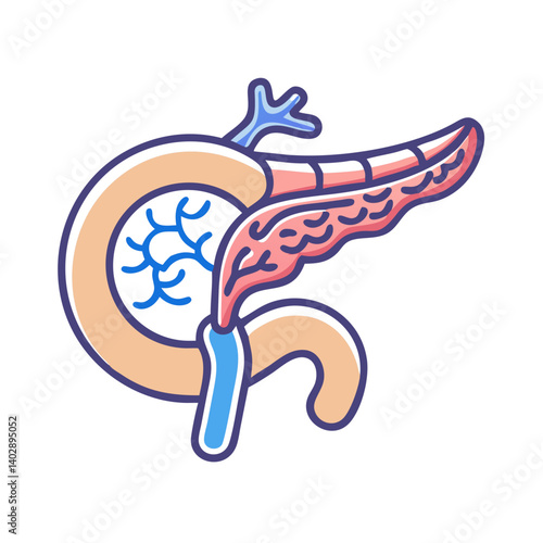 Pancreas with Duct Icon Representing Endocrine Function and Digestive Health