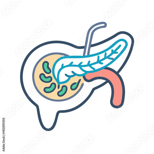 Pancreas with Duct Icon Representing Endocrine Function and Digestive Health