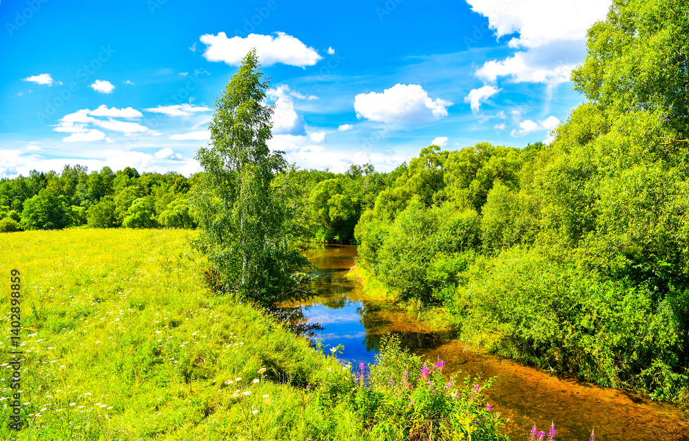 summer landscape with river and forest