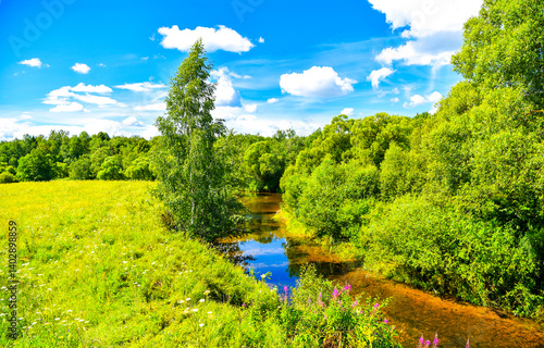 Obraz na płótnie summer landscape with river and forest w salonie