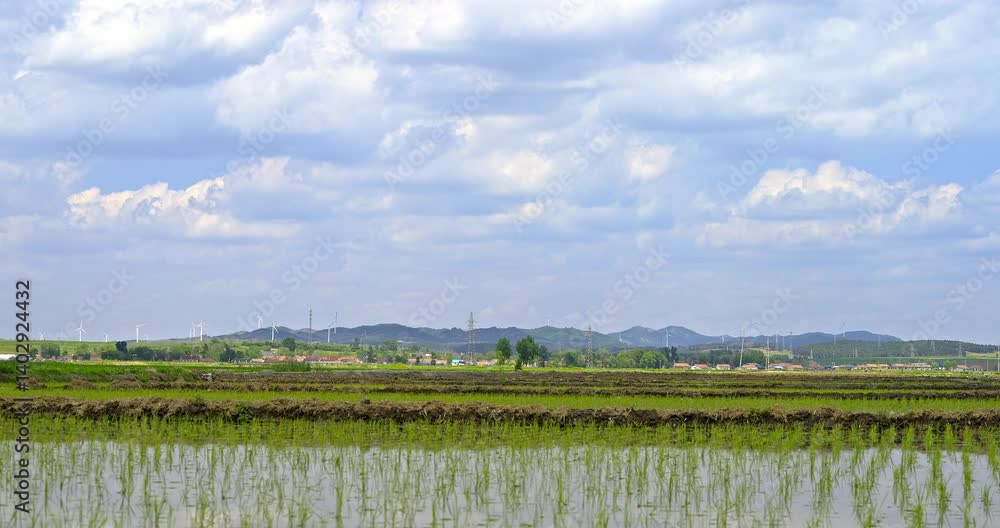 Time-lapse of newly planted rice fields in Northeast China Time-lapse of newly planted rice fields in Northeast China