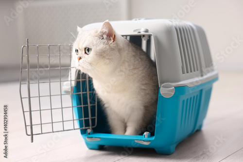 Cute cat in pet carrier on floor indoors