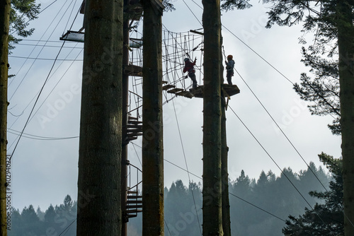 Aerial tree climbing action, trekking image looking up at a person crossing a suspended log walk. Adventure and thrills. half term holiday and short break family fun. Forest park activity challenge.