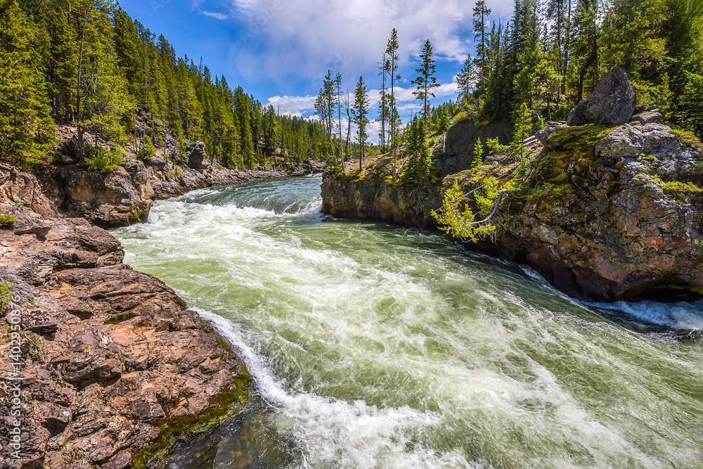 Wild river in mountain forest