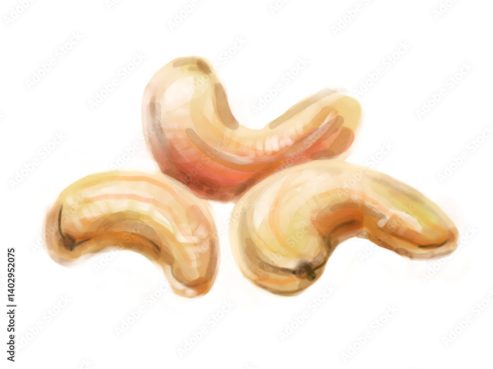 Cashew nut isolated illustration watercolour drawing png on transparent background Cashew nut isolated illustration watercolour drawing png on transparent background