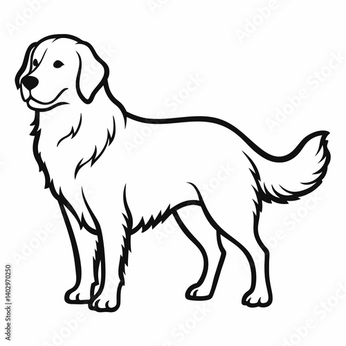 black and white outline of a popular dog breed named "Golden Retriever" on white background