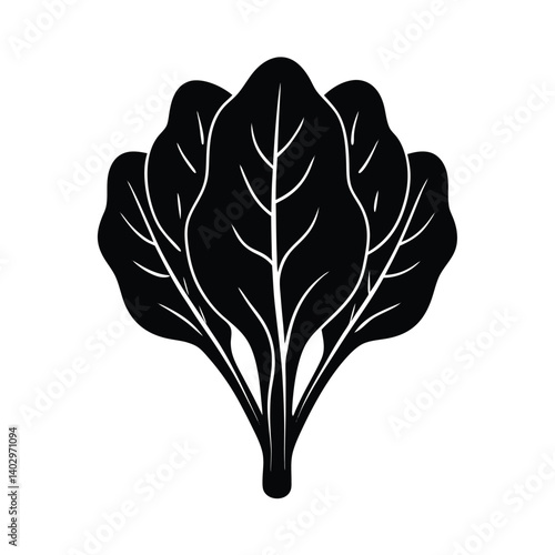 Isolated Spinach Illustration