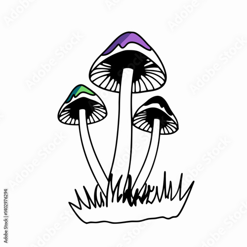 mushrooms on a white background