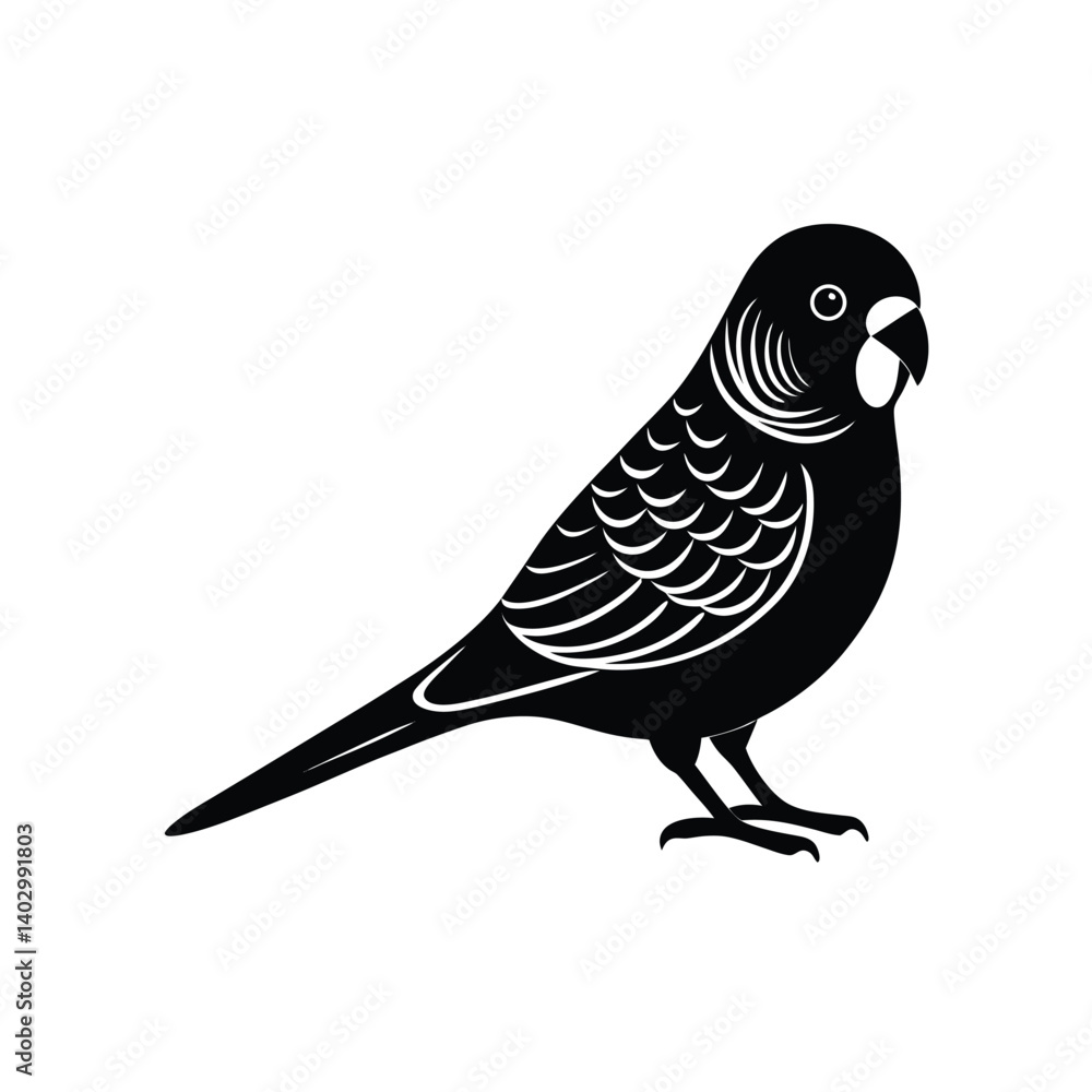 Obraz premium budgerigar side view vector silhouette 